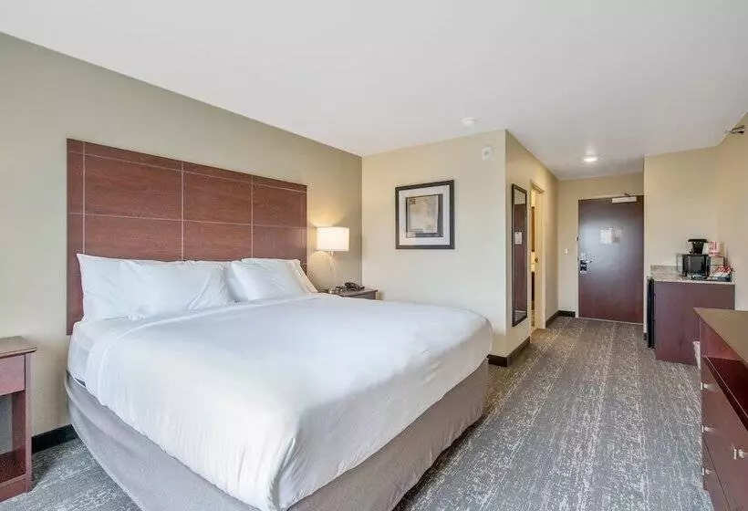 Cobblestone Hotel & Suites   Austin