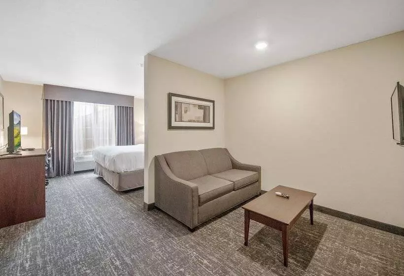 Cobblestone Hotel & Suites   Austin