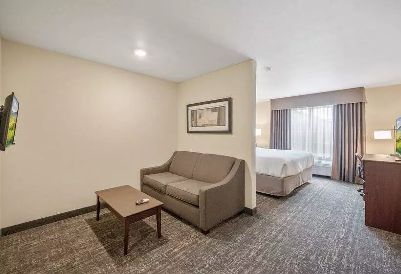 Cobblestone Hotel & Suites   Austin