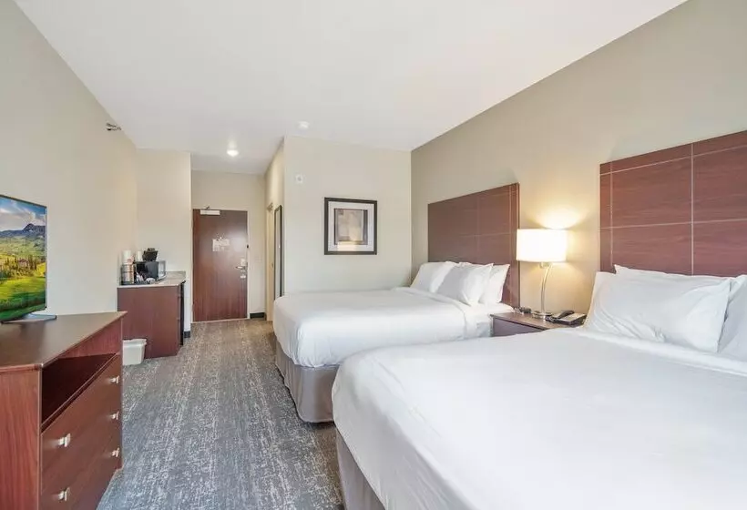 Cobblestone Hotel & Suites   Austin