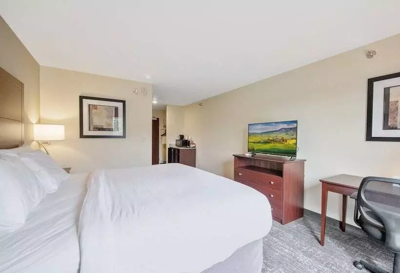 Cobblestone Hotel & Suites   Austin