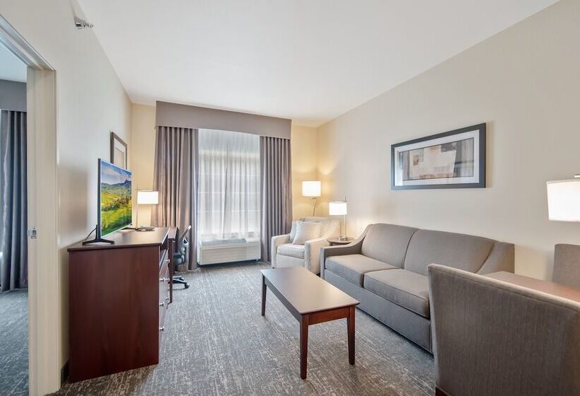 Cobblestone Hotel & Suites   Austin