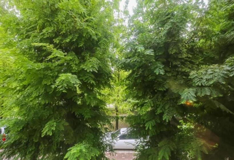 Ring Hotels In Nivelungen