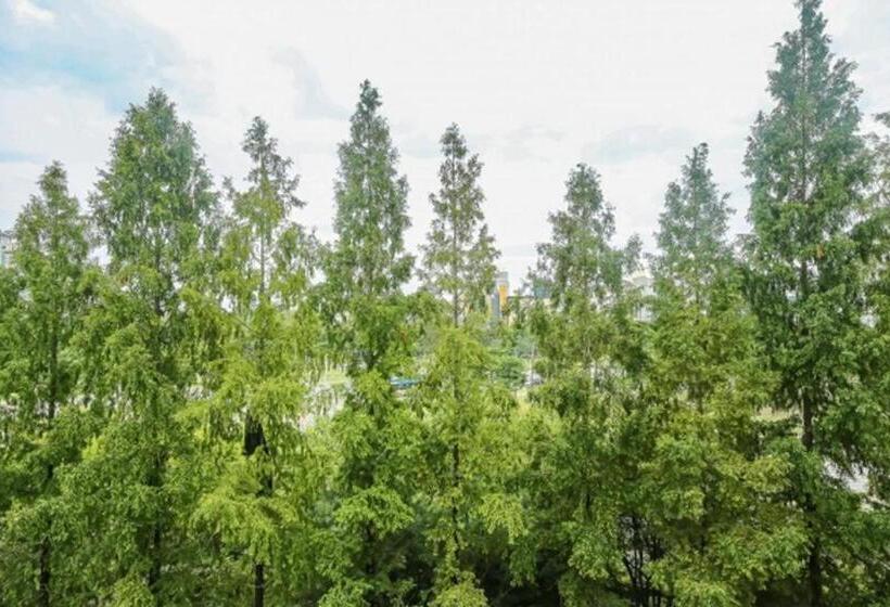 Ring Hotels In Nivelungen