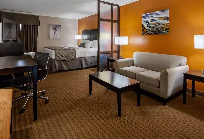 酒店 Best Western Plus Lubbock Windsor Inn