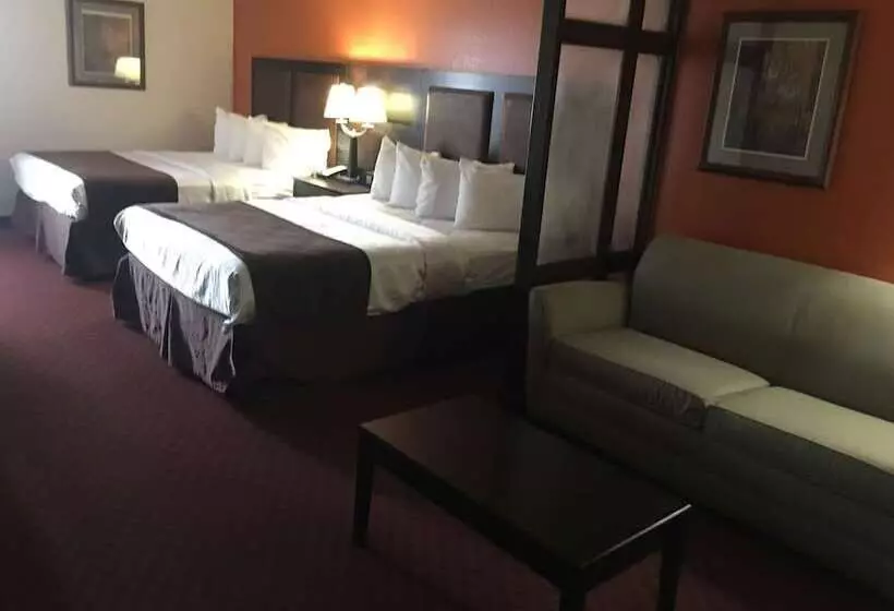 酒店 Best Western Plus Lubbock Windsor Inn
