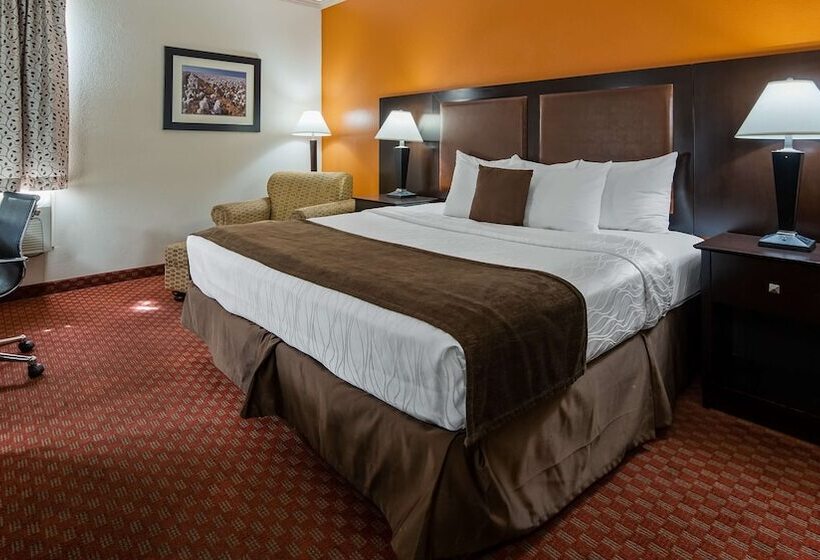 هتل Best Western Plus Lubbock Windsor Inn