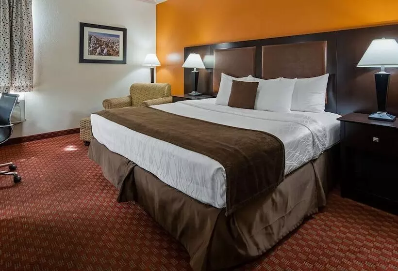 酒店 Best Western Plus Lubbock Windsor Inn