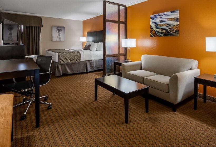 هتل Best Western Plus Lubbock Windsor Inn