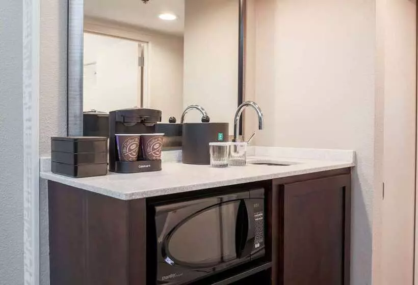 酒店 Embassy Suites By Hilton Dallas Love Field