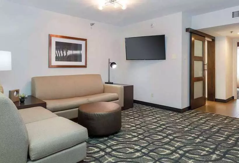 酒店 Embassy Suites By Hilton Dallas Love Field