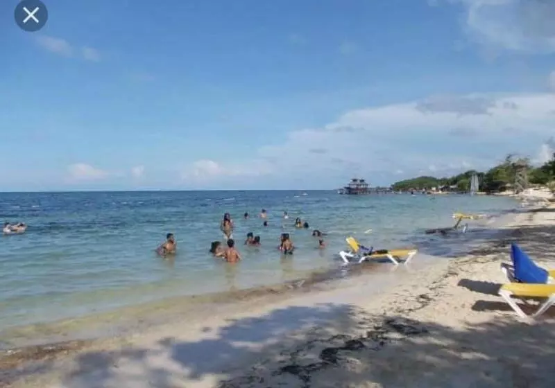 Отель Executive Inn