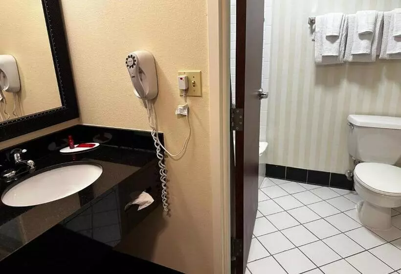 호텔 Best Western Plus Fenton