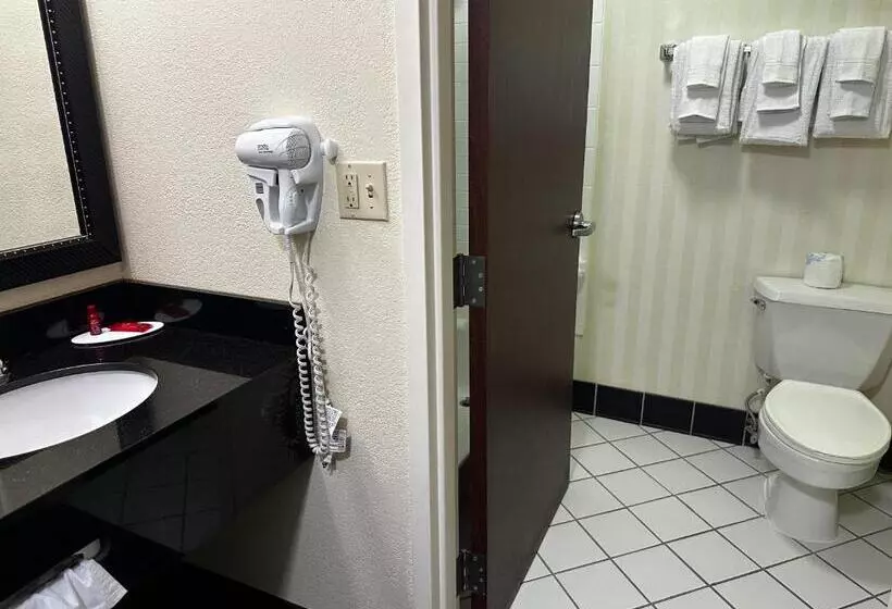 호텔 Best Western Plus Fenton