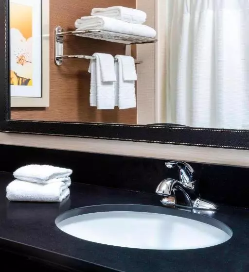 فندق Fairfield Inn & Suites Kansas City Lee S Summit