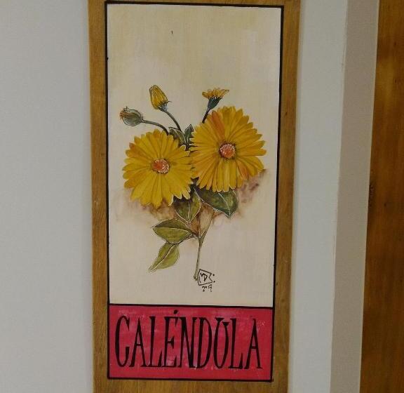 فندق صغير Hostal El Korú