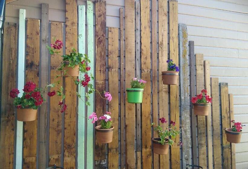 فندق صغير Hostal El Korú