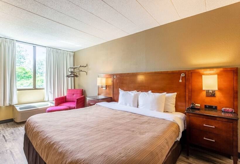 בית מלון כפרי Suburban Studios