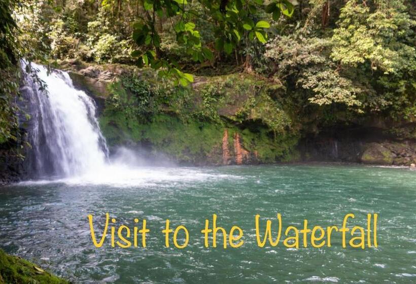 Пансион Eco Guest House   Sarapiquí 1