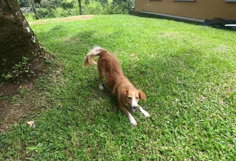 Majatalo Eco Guest House   Sarapiquí 1