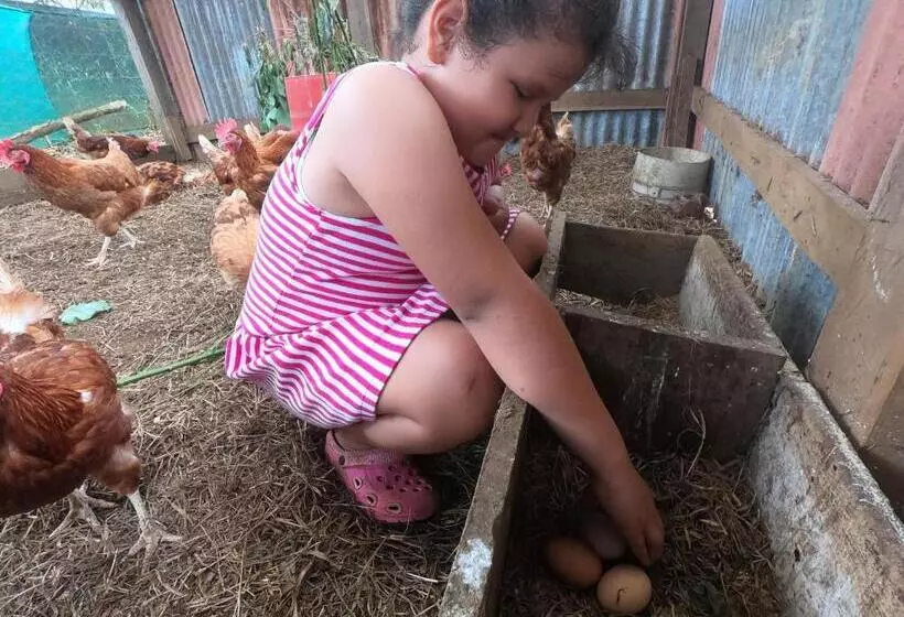 Majatalo Eco Guest House   Sarapiquí 1