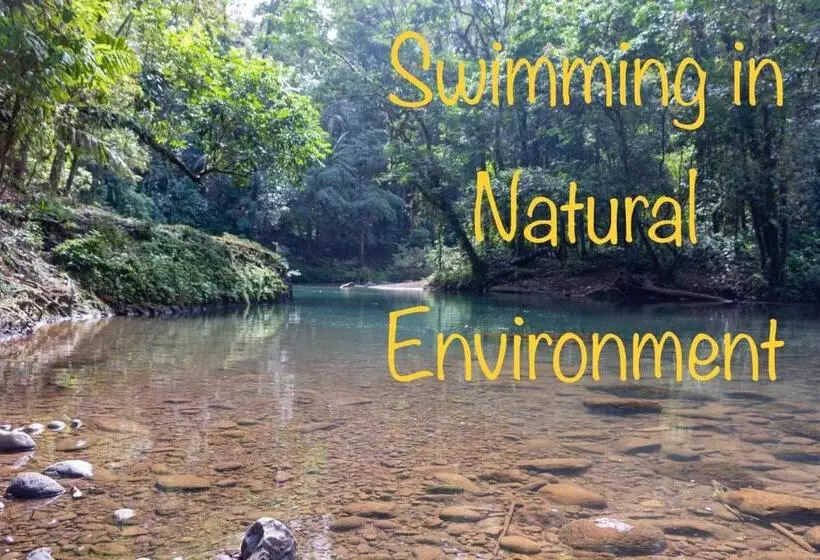 Majatalo Eco Guest House   Sarapiquí 1