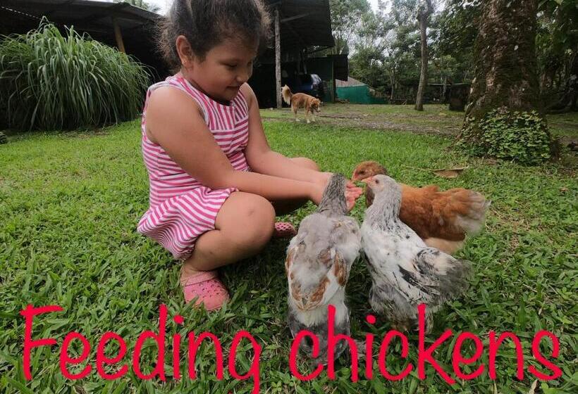 Пансион Eco Guest House   Sarapiquí 1