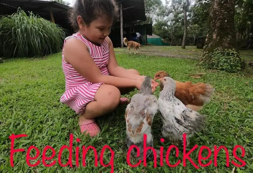 Majatalo Eco Guest House   Sarapiquí 1