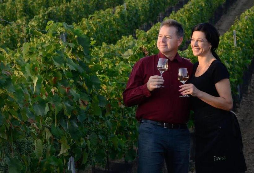 Panzió Penzion A Vinařství U Vrbů