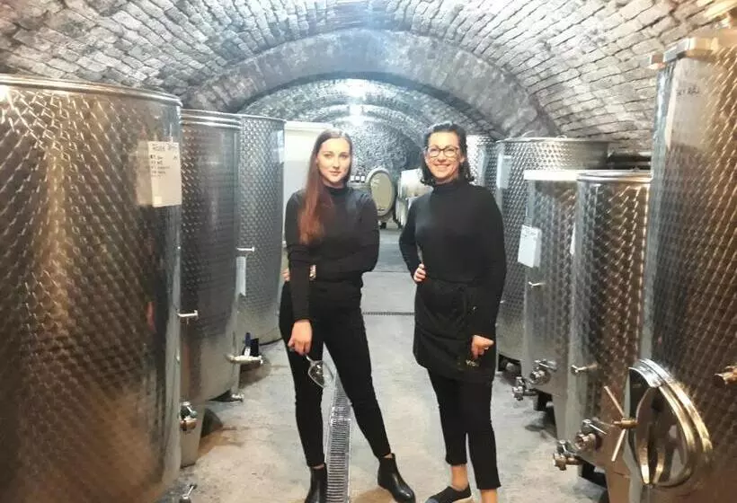 پانسیون Penzion A Vinařství U Vrbů