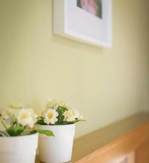 پانسیون Penzion A Vinařství U Vrbů