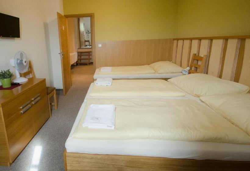 Panzió Penzion A Vinařství U Vrbů