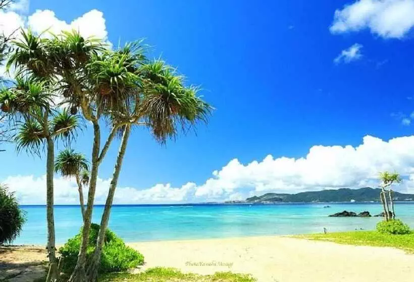 Yakasoba House   Hostel