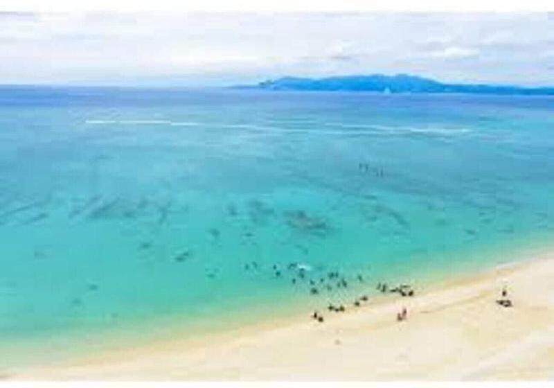 Yakasoba House   Hostel