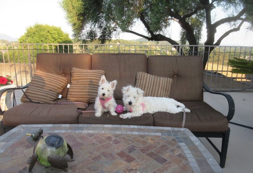 ベッドアンドブレックファースト Bella Villa Messina