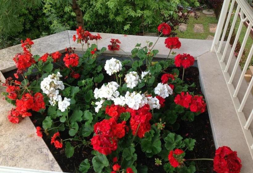 B&b Villa Gardasee With Pool