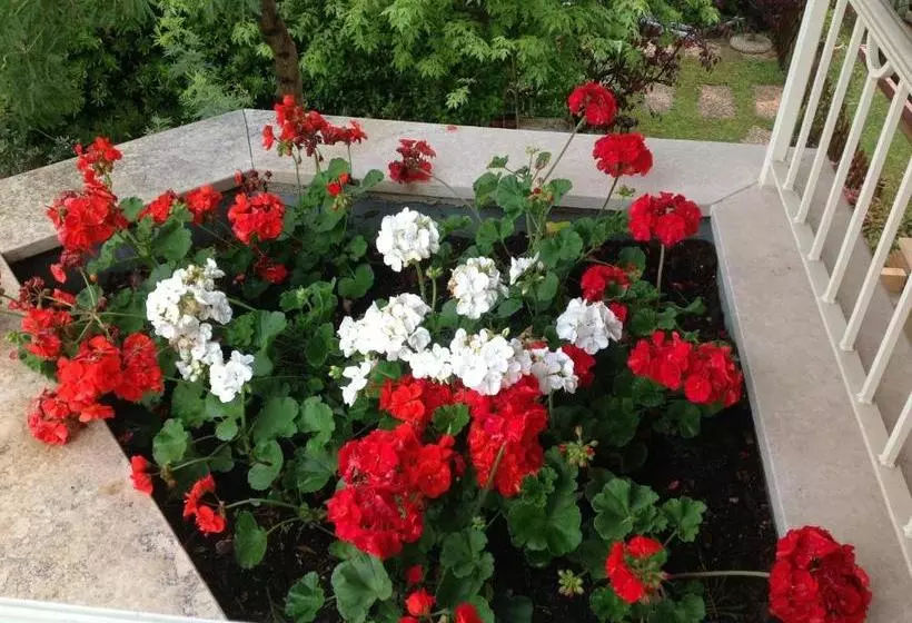 B&b Villa Gardasee With Pool