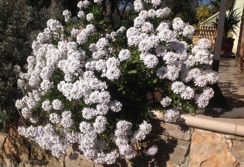 B&b Villa Gardasee With Pool