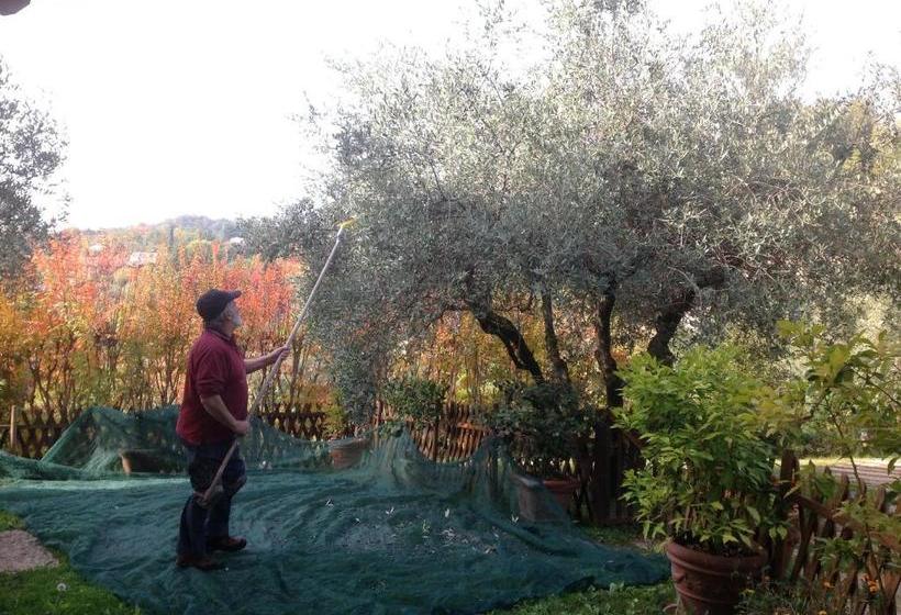 B&b Villa Gardasee With Pool