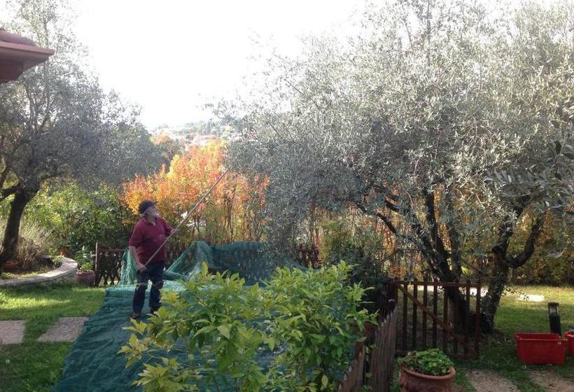 B&b Villa Gardasee With Pool