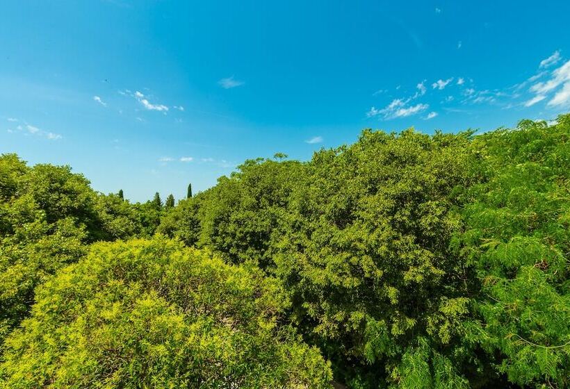 Hedera Estate, Hedera A1