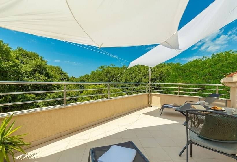 Hedera Estate, Hedera A1