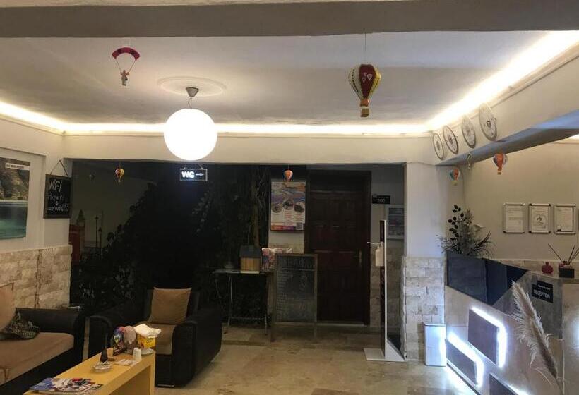 בית מלון כפרי Ozenturku