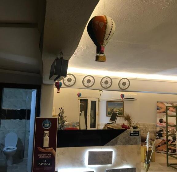 בית מלון כפרי Ozenturku