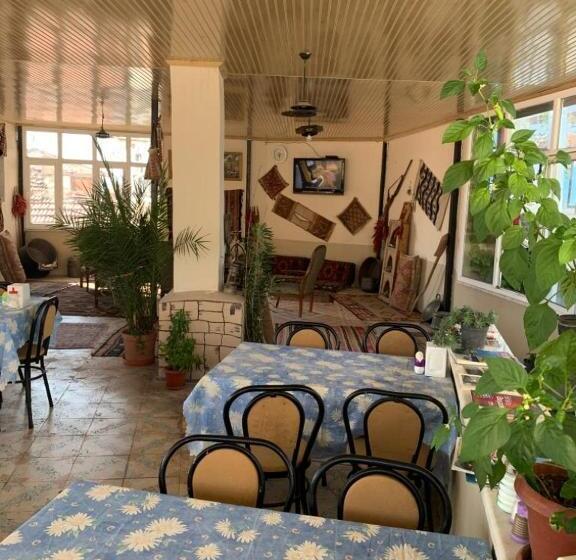 בית מלון כפרי Ozenturku