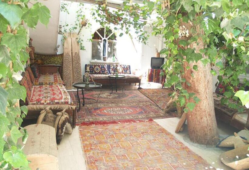 בית מלון כפרי Ozenturku