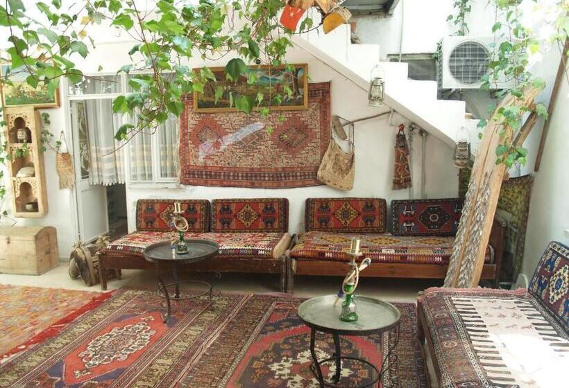 בית מלון כפרי Ozenturku