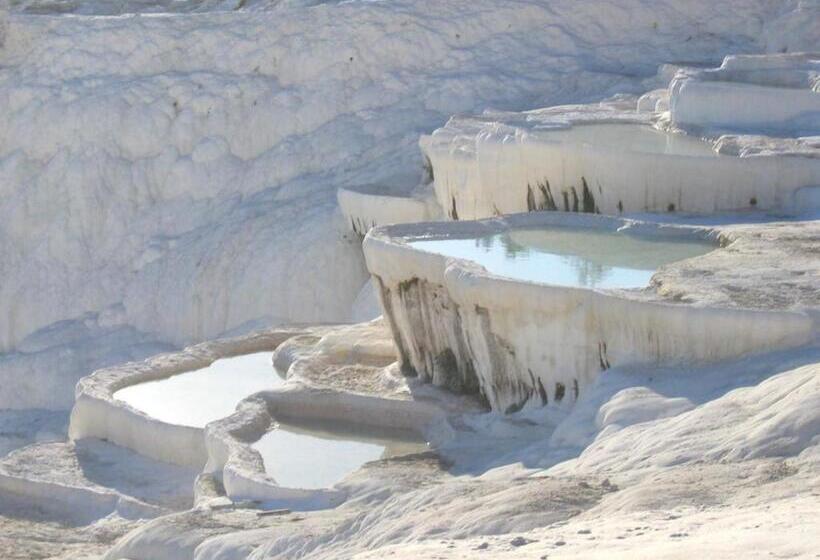 בית מלון כפרי Ozenturku