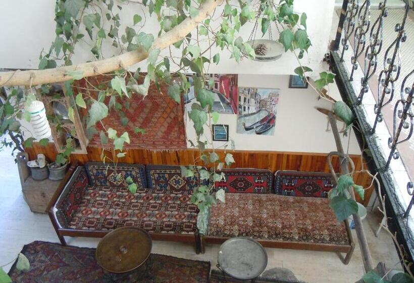 בית מלון כפרי Ozenturku