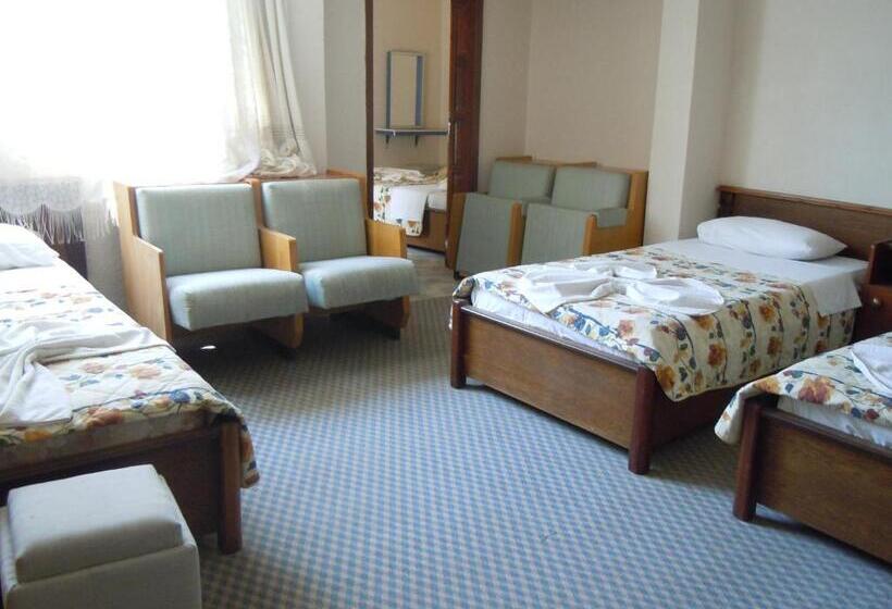 בית מלון כפרי Ozenturku